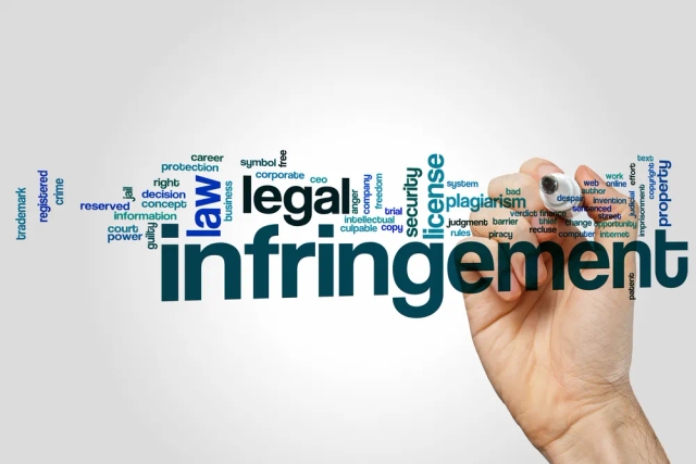 Trademark Infringement Litigation